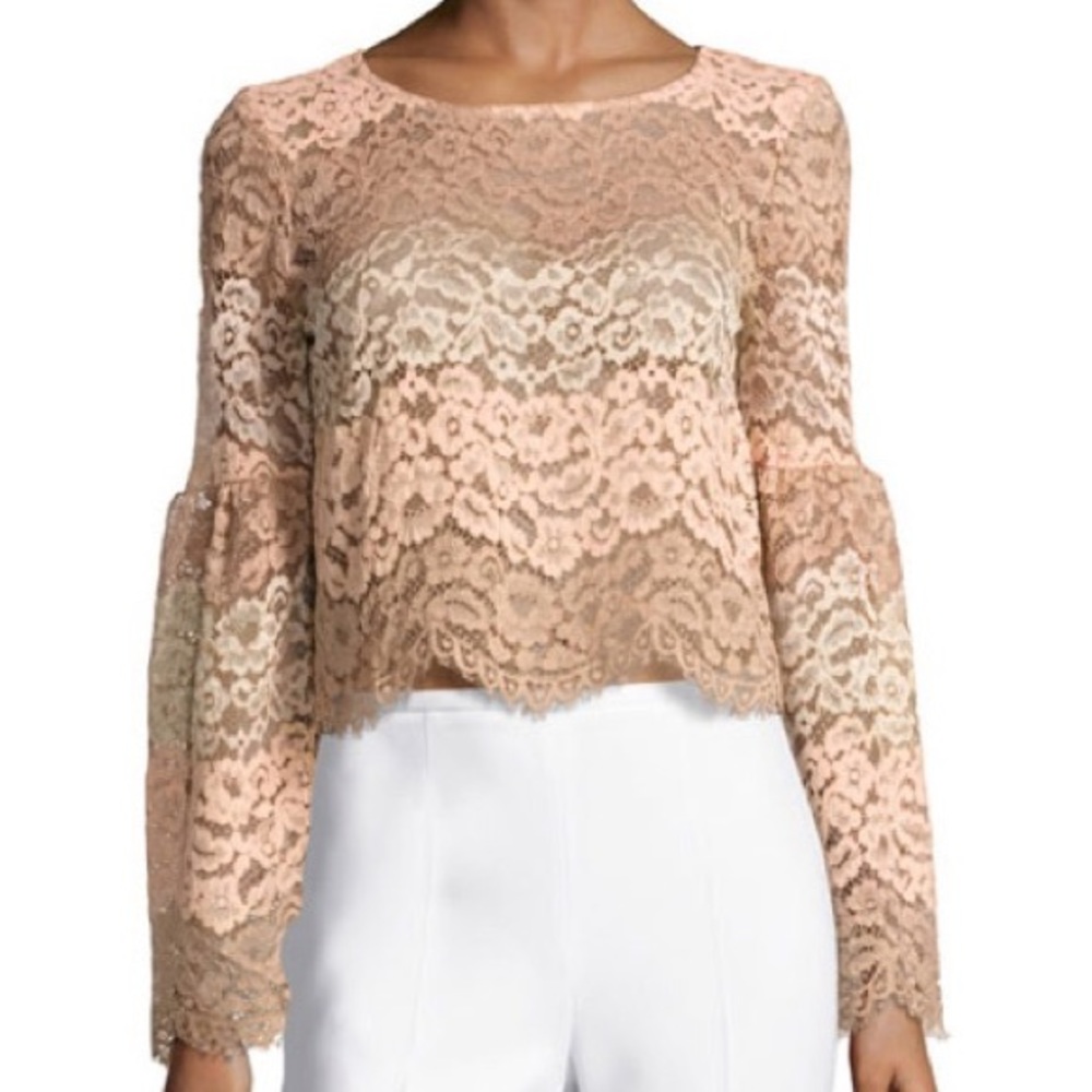 WAYF Ombré pink lace bell sleeve cropped top